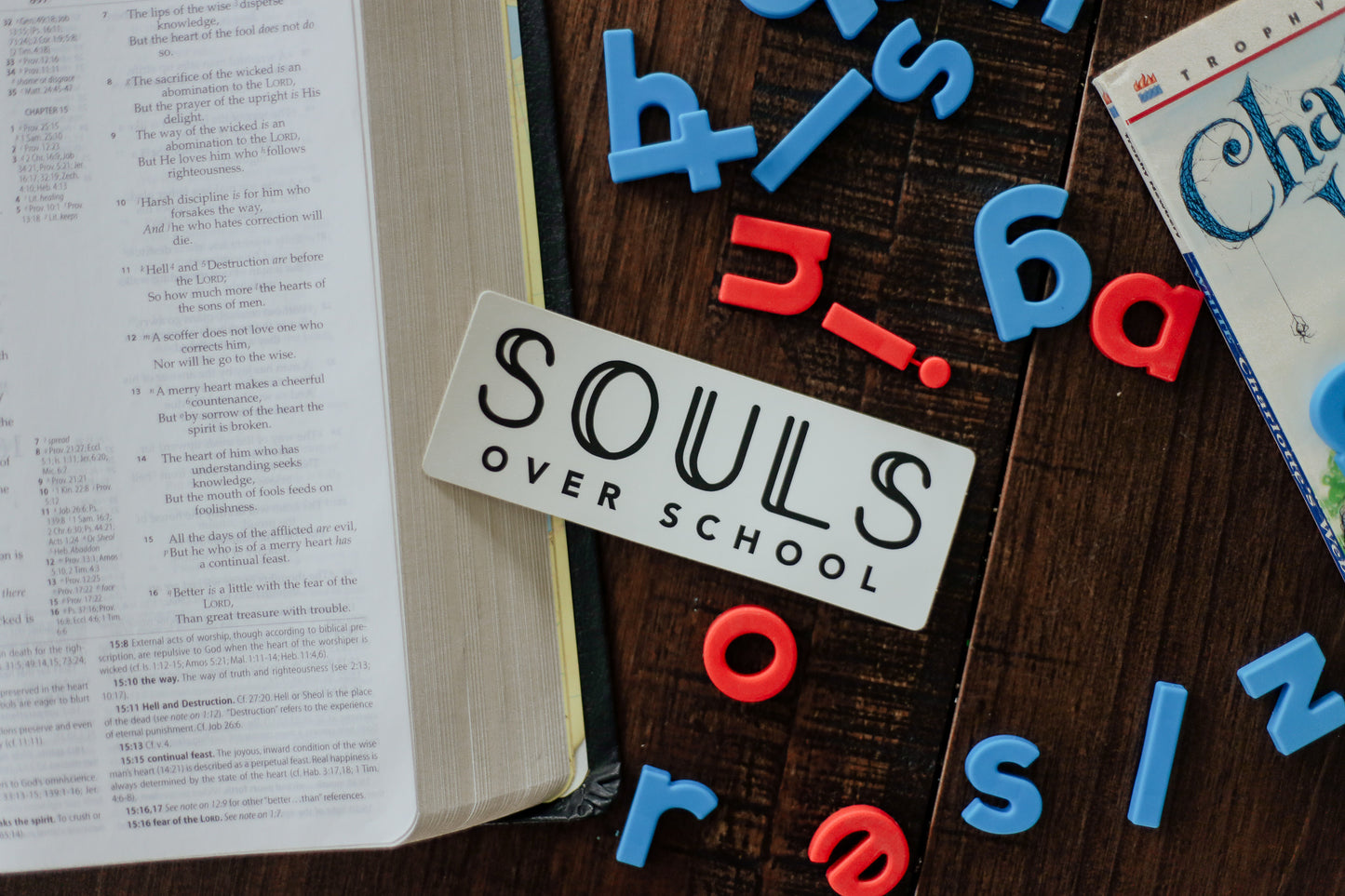 Souls Over School Sticker
